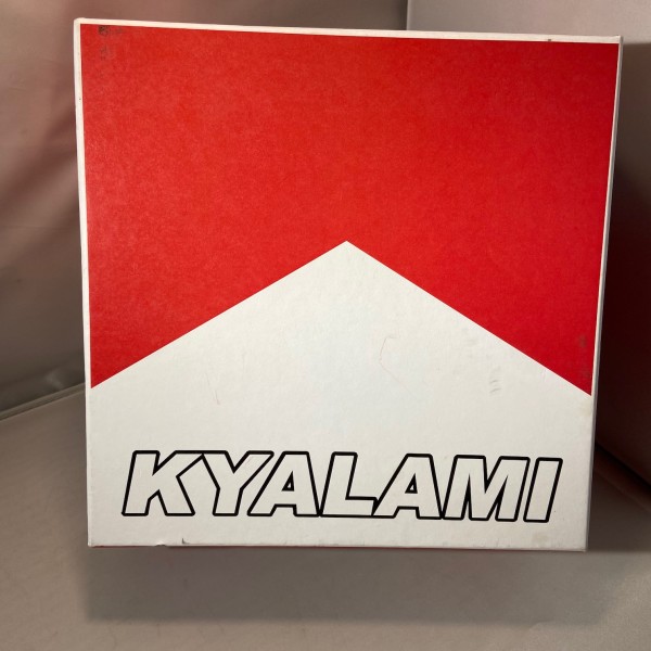 BMW M1 1000km Kyalami 1979 Twin Set Fly team 20