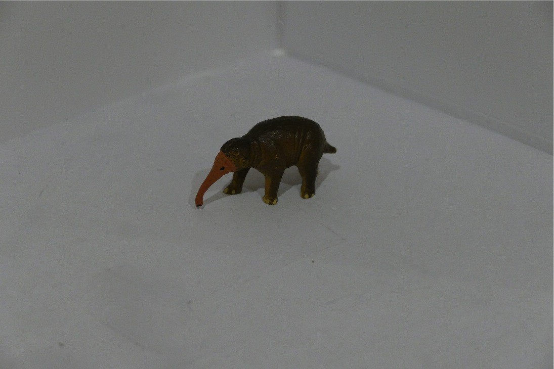 Echidné à long bec  Starlux Z19