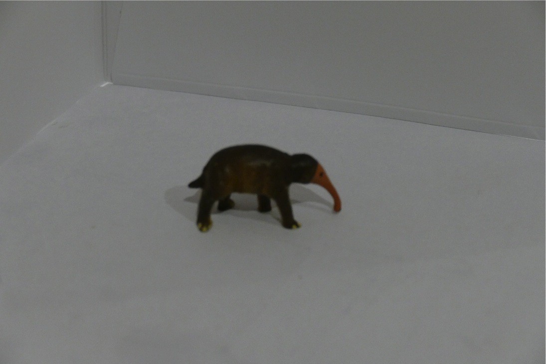 Echidné à long bec  Starlux Z19